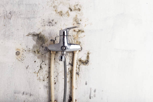 Best Mold Remediation for Specific Building Types in Cleburne, TX